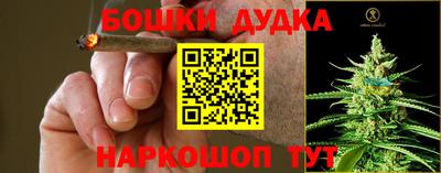 PSILOCYBIN Бугуруслан