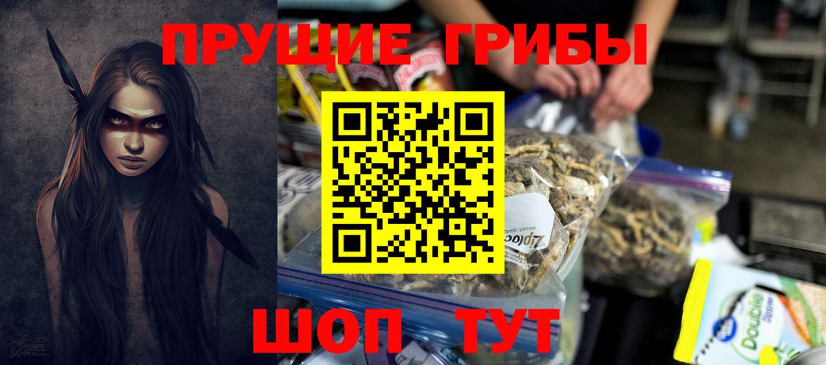 Псилоцибиновые грибы Psilocybine cubensis Светлоград